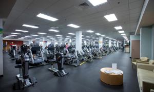 Healthpark fitness equipment